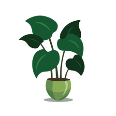 Vector house plant in a pot, flat design illustration, potted plants icon