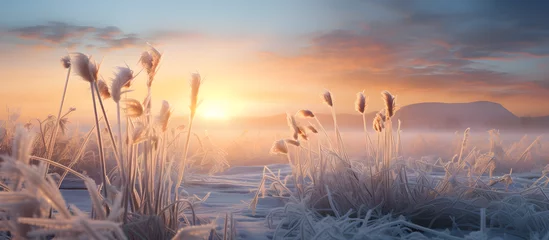 Deurstickers Frosty Sunrise, Impacted Winter Crops and Frozen Meadow at Dawn, Challenging Spring Campaign for Wheat Sowing in Hoarfrost Covered Agricultural Fields © NE97