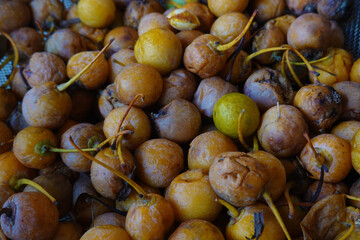 たくさんの腐った銀杏の実