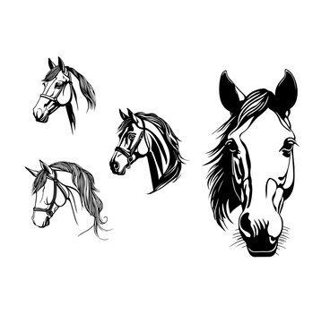 Horse Heads, Transparent Horse Head Set, Vector Horse Head Set