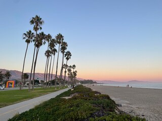 Oceanside road lined with palms
