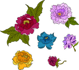 Set of flower vector for painting on background.Peony for printing on curtain.Traditional  Asian floral illustration for embroidery style.Rose flower.Beautiful line art for summer.