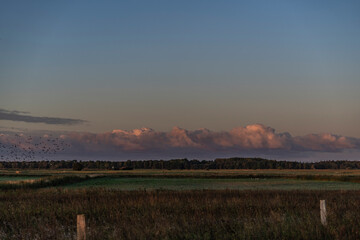 Scenery on the Darss peninsula, Baltic Sea, Germany