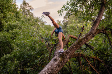 An attractive girl climbs a tree, exercising and stretching her body in a park. She embraces the green environment, enjoying a healthy and active lifestyle while having fun outdoors.