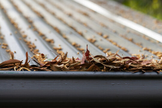 Gutter of house full of leaves creating fire hazard