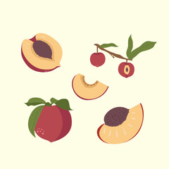 Peaches Illustration