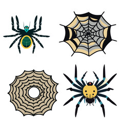 black and white spider