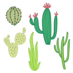 Fototapete Kaktus cactus in the desert