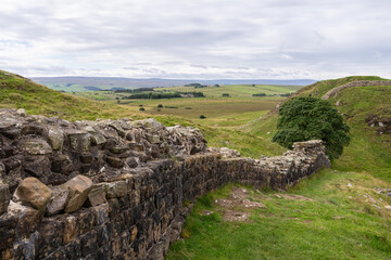 looking across to Highshield Crags and Sycamore Gap near Housesteads, Northumberland, UK
