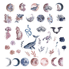 Watercolor set fantastic moon animals