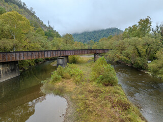 Fototapeta premium Elevated Gaze: Where Forest Meets Mountain Mist