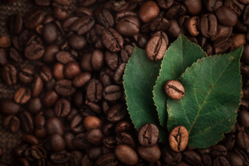 Roasted coffee beans and green leaves. Background for text with coffee