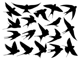 The set silhouettes of flying swallows.
- 665353675
