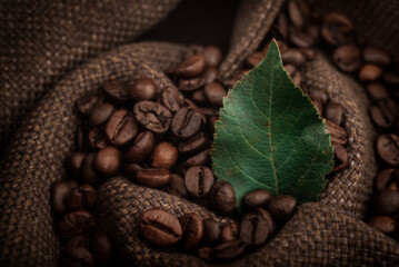 Roasted coffee beans in a bag. Macro photography of coffee in warm colors.
