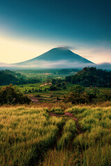 Nature landscape tropical island Bali with scenery rice field and active volcano Bali Indonesia