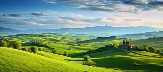 Fototapeta premium Green hills .