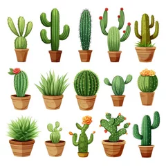 Türaufkleber Kaktus im Topf The Cactus set on white background. Clipart illustrations.
