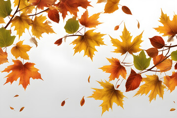 Naklejka na ściany i meble a fall leaves on a branch isolated on transparent