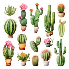 Fototapete Kaktus The Cactus set on white background. Clipart illustrations.