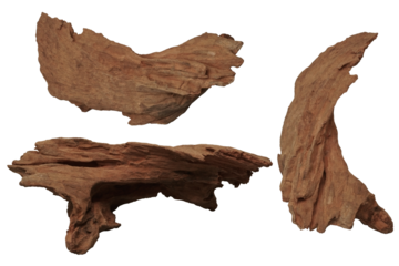 Driftwoods dicut for creative editor
