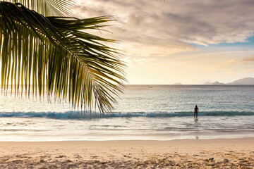 Sunset at Seychelles. Woman Silhouette on the tropical beach with palm, in the sea watching the ocean