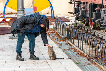 Ragazza si piega per accarezzare gatto di strada - obrazy, fototapety, plakaty