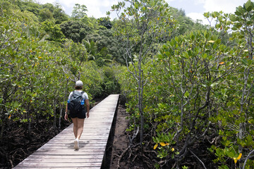 Back view. Tourists walking on a wooden bridge above mountain river , A hiker female walks along a tropical nature trail with a wooden boardwalk overlooking wetlands. Travel and exploration.