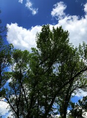 Nature landscapes of Europe. Rural area - fields, roads, meadows, forests, beautiful pictures of nature