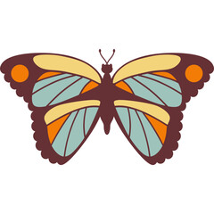 Colorful Butterfly Illustration
