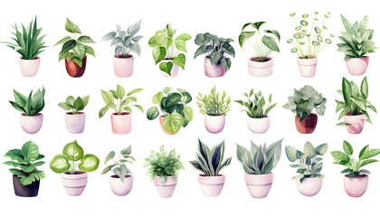 Set of  watercolor collection of flowers and plants on white background. 