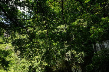 Obraz premium Tam Coc River Boat Tour in Ninh Binh, Vietnam - ベトナム ニンビン タムコック ボート 川下り