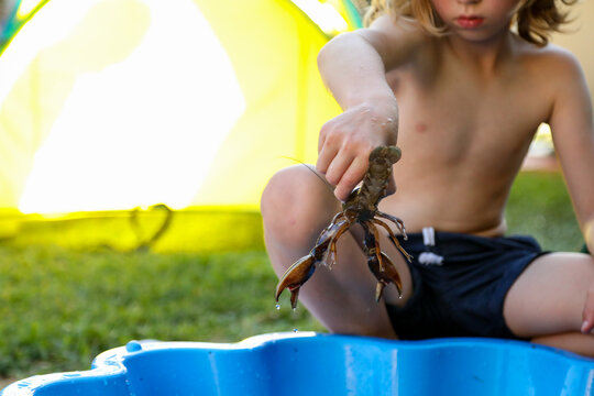 Boy playing with yabbies in backyard shell pool in summer