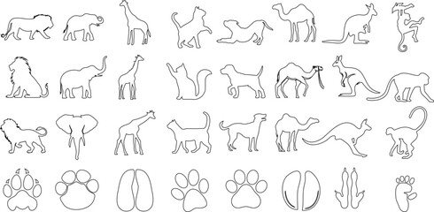  animal line icons Vector illustration collection, white background. Features lion, giraffe, dog, camel, elephant, cat, and more. Perfect for wildlife, zoo, safari, and jungle themes.