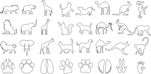  animal line icons Vector illustration collection, white background. Features lion, giraffe, dog, camel, elephant, cat, and more. Perfect for wildlife, zoo, safari, and jungle themes.