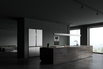 Grey home kitchen interior with bar counter and cabinet, lounge zone and window