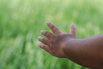 close up hand on green background