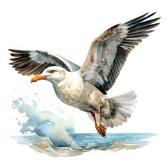 Fototapeta premium Watercolor seagull isolated on white background.