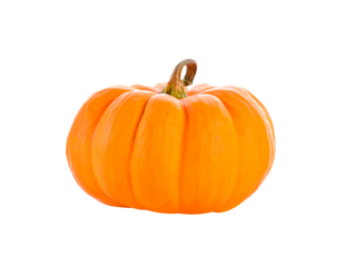 Studio shot of a nice ornamental pumpkin on pure transparent png