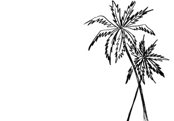 Black outline of two palm trees on a white background
