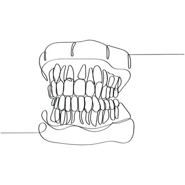 single line teeth drawing clip art preview
