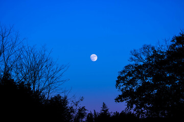 夜の月