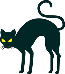 Halloweeen Black Cat