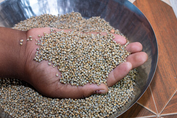 Bajra (Pearl millet), Millet are a group a small, round whole grains grown in India
