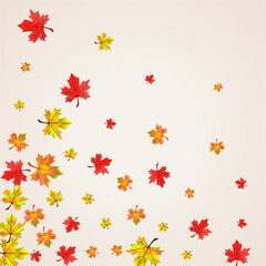 Obraz premium Orange Floral Background Beige Vector. Leaf Flying Illustration. Colorful November Foliage. Canadian Leaves Texture.