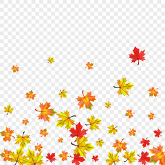 Golden Foliage Background Transparent Vector. Leaves Isolated Frame. Orange Ground Floral. Forest Plant Design.