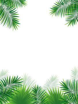Green amazon border frame with exotic jungle plants, palm leaves, monstera and place for text. Summer foliage vector background. tropic design for travel, vacations card and banners