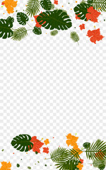 Naklejka na ściany i meble Orange Monstera Background Transparent Vector. Hibiscus Hawaiian Frame. Light Green Palm. Surf Design. Green Forest Illustration.