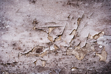 The wall is damaged by black fungus. Peeling of plaster due to damage by harmful bacteria. Flat layout of the frame. Close-up