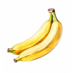 Bunch of bananas isolated on a white background