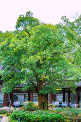 Obraz premium Wuyishan, Wuyishan City, Fujian Province - Wuyishan Scenic Area